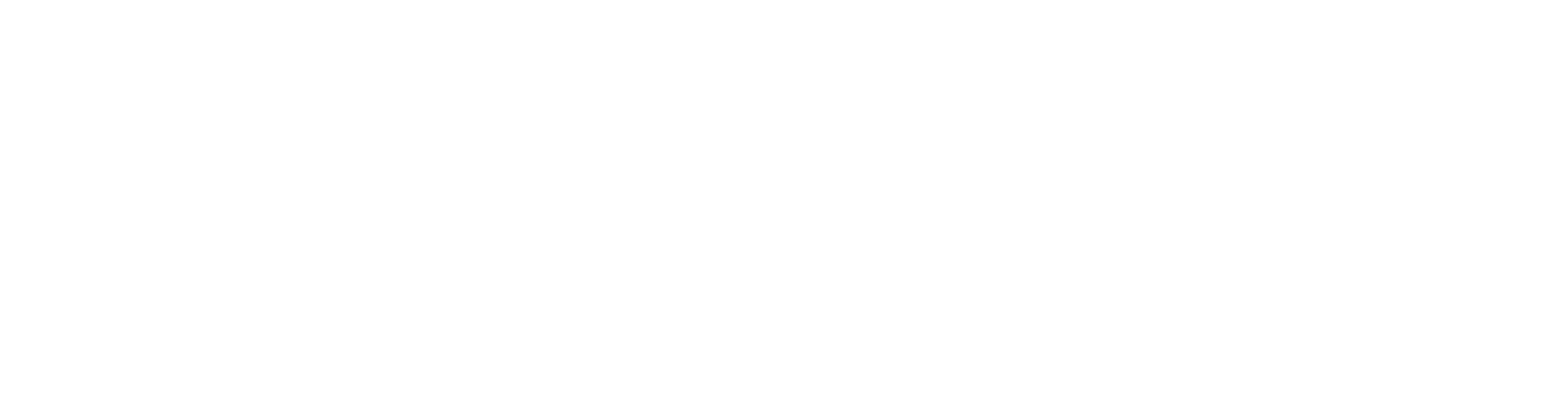 DDS_Logo Stacked_RGB Mono White